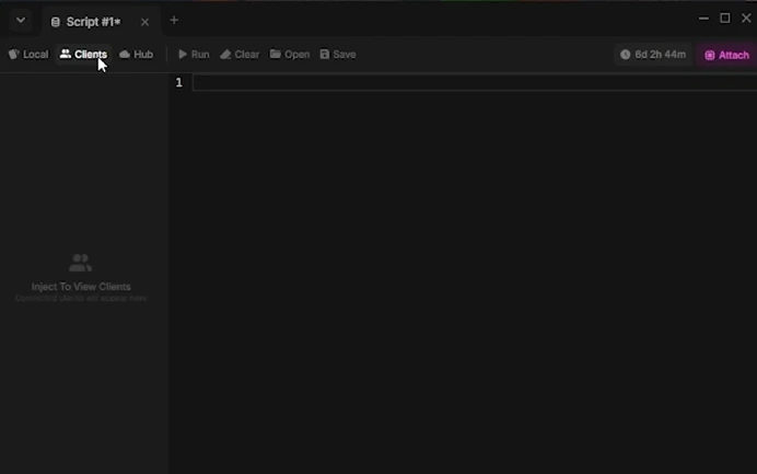 Isaeva Debugger View